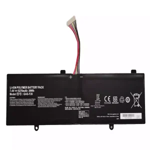 Batteria per computer portatile GAS-F20