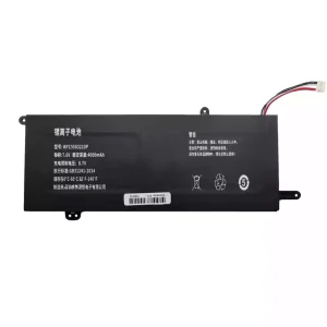 Batteria per computer portatile WYC5583210P