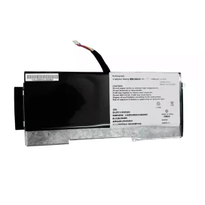 Batteria per computer portatile SSBS51