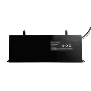 Batteria per computer portatile D156 F4125