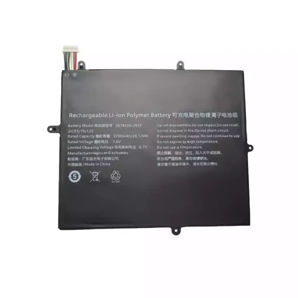 Batteria per computer portatile 2679125-2S1P