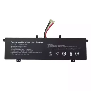 Batteria per computer portatile 4567250-2SP