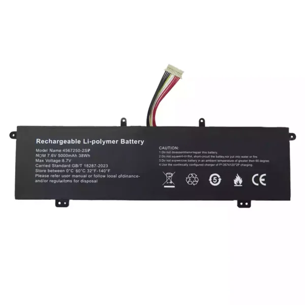 Batteria per computer portatile 4567250-2SP