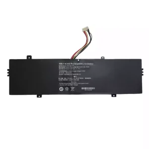 Batteria per computer portatile 4873276P