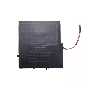 Batteria per computer portatile 4878145-2S1P