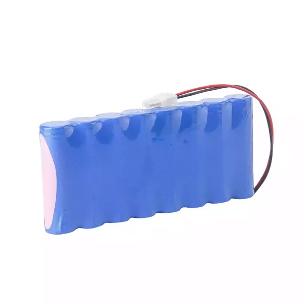 Batteria di ricambio per TSGLIIO100298,Charter Kontron Vitalogik 4500 - immagine 3