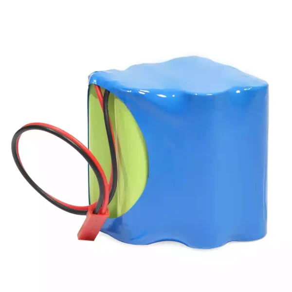 Batteria di ricambio per Annol Sp-1000 - immagine 3