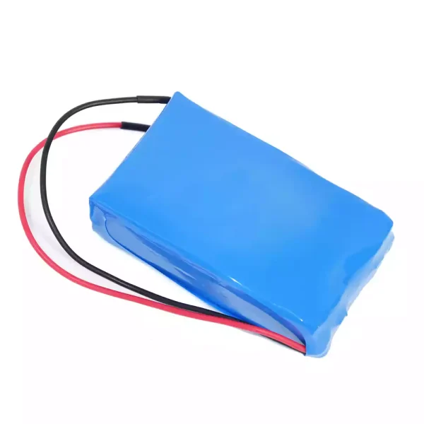 Batteria di ricambio per JSB-1200 - immagine 3