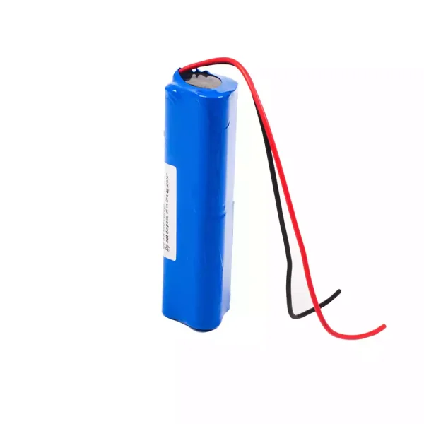 Batteria di ricambio per ZNB III ZNB -300 ZNB-500 ZNB-600 ZNB-1000 ZNB-1200 - immagine 2