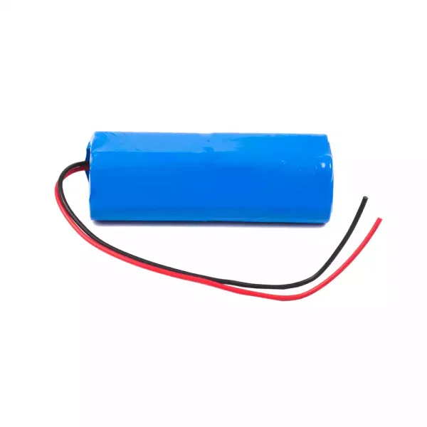 Batteria di ricambio per ZNB III ZNB -300 ZNB-500 ZNB-600 ZNB-1000 ZNB-1200 - immagine 3