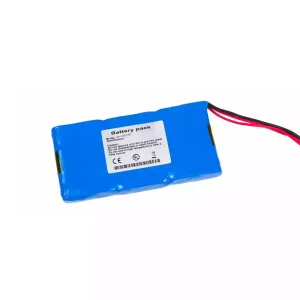 Batteria di ricambio per KADEY YASEN WP-YHD-3160 ECG-901