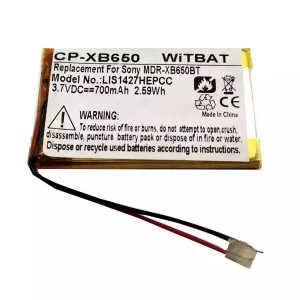 Batteria di ricambio per cuffie Sony MDR-XB650BT,DR-BTN200,MDR-XB950BT,MDR-XB950B1,WH-XB700,MDR-ZX330BT,MDR-ZX550BN,MDR-RF985R