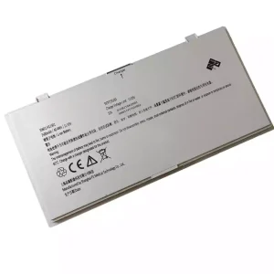Batteria per PZ 306011411501 306011411502