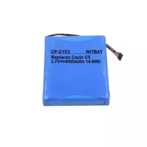 Batteria per Cayin C5